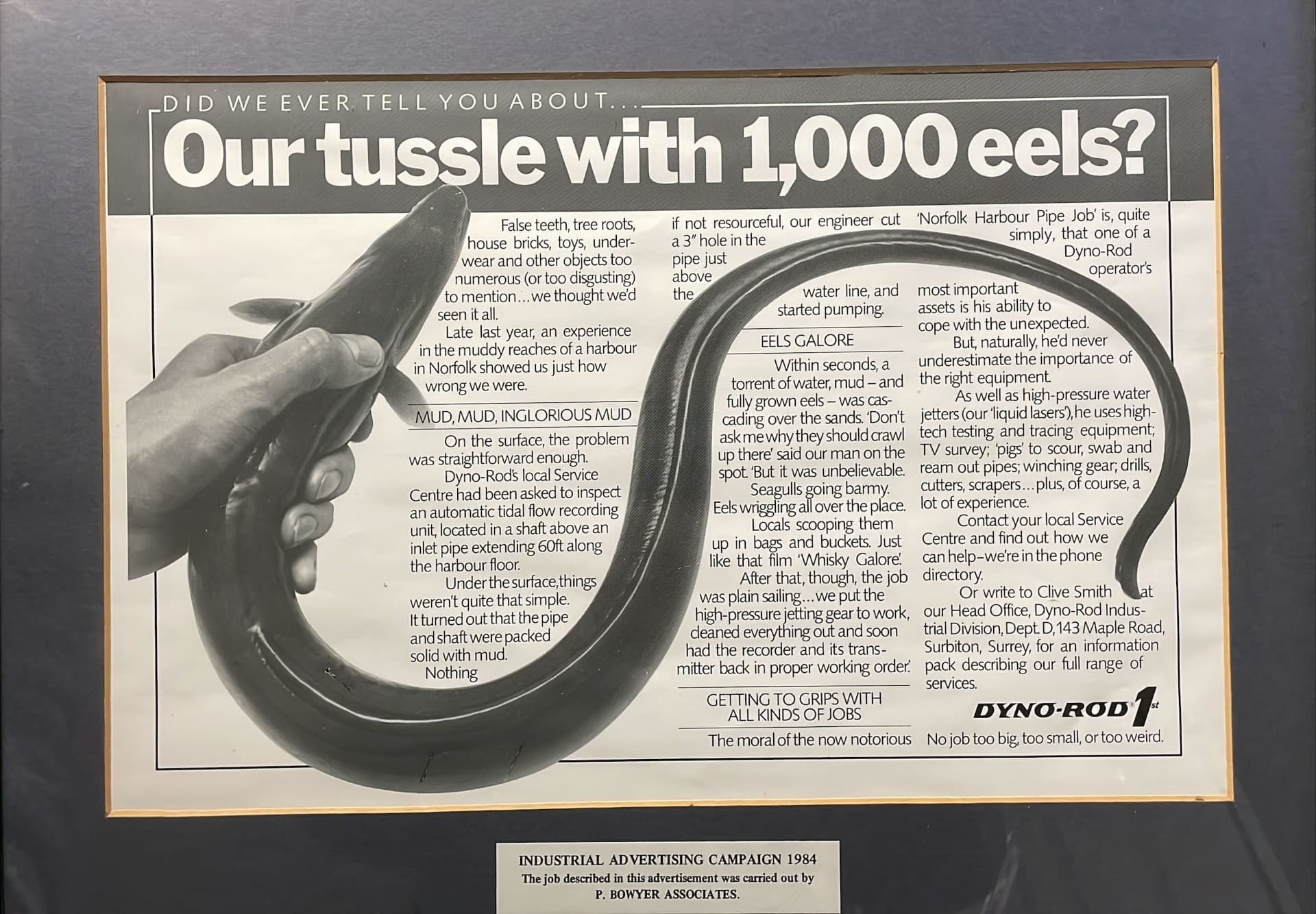 Eels